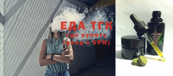 индика Снежинск