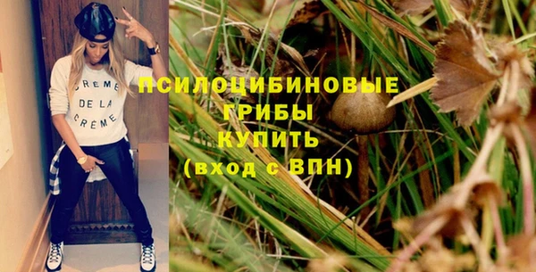 индика Снежинск