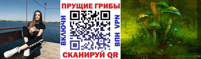 Купить  Сочи  Галлюциногенные грибы MAGIC MUSHROOMS 